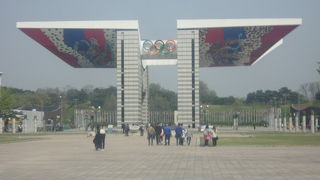 4匹の龍が描かれた様子は必見です