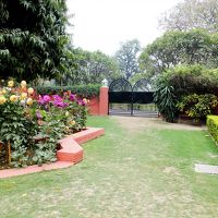 中庭　イングリッシュガーデン風？