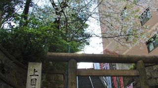 池尻大橋の氷川神社