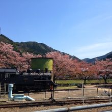 機関車もちゃんといます。