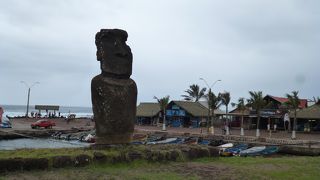 サーファーを眺めているようです