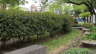 毎年植木市が開かれています