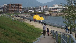 四季の楽しみ方