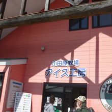 小田原牧場アイス工房 クチコミガイド フォートラベル 小田原 小田原牧場アイス工房 クチコミガイド フォートラベル 小田原