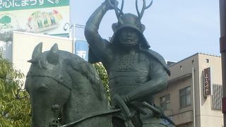 凛々しい姿です。