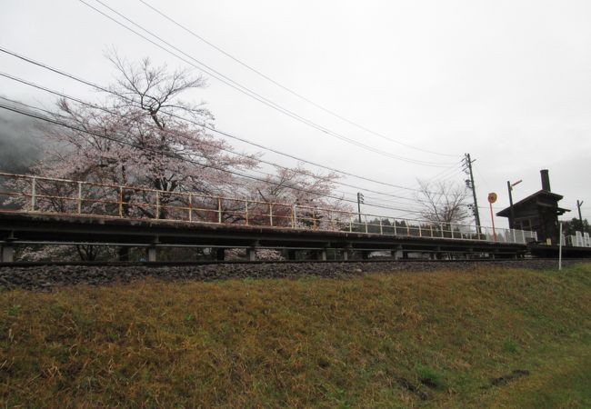 水鳥駅