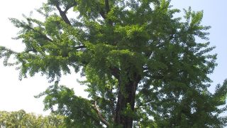 のんびりしたムードでした