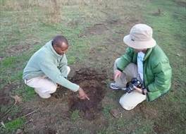 Ngorongoro Serena Safari Lodge 写真