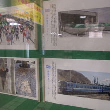 道新ニュースでたまたま「はまなす」と「新幹線」ネタが・・・。