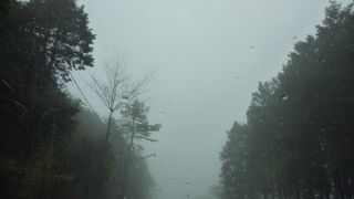 まさしく霧の中