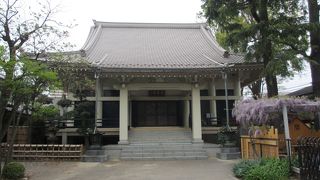 保育園を併設しています