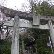 桜の花を見に行きました