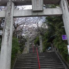 愛宕神社参道