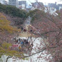 結構来ていますね