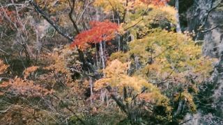 秋の鳴子峡