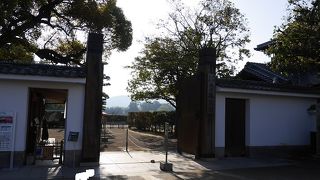 ひろびろ、見ごたえ感じる和の庭園