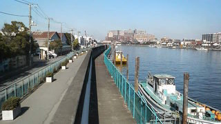 釣り船や遊覧船が係留されている昔ながらの雰囲気も