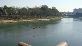 寒々としていました