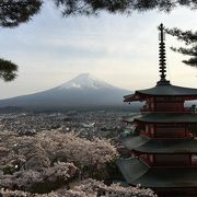 ヴィーンで知った日本の美