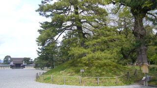 京都守護職の松平容保も使用されていました