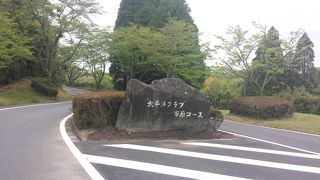 戦略性あり、コンディションも良く楽しめました