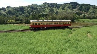 菜の花撮影スポット石神