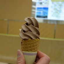 こもれびカフェのソフトクリーム