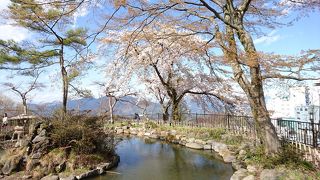 桜がきれいに咲いていました