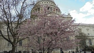 4月訪問。桜満開だった