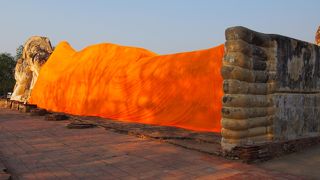 大きな涅槃仏　後ろから葉っぱ