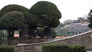 舞鶴公園の敷地内にある野外の陸上競技場