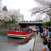 桜の時期には絶対に乗るべし！！