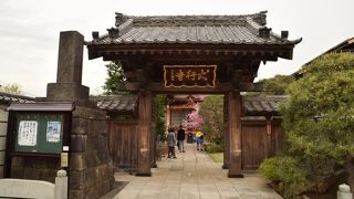 シュウカイドウのお寺