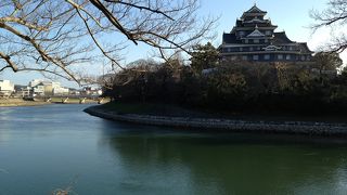 城めぐり:岡山城跡、対岸から見る
