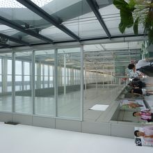 この奥の方のビルです。