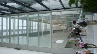 大きくて手前に違うテナントあり