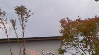 おいしいものをたくさん食べることができました