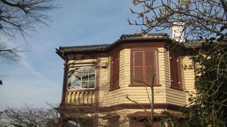 木々に囲まれて