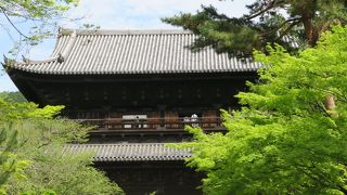 迫力の三門です