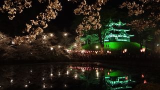 幻想的な夜桜が楽しめます。