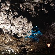 春の大阪観光のハイライトは桜の大阪城