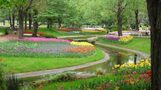 チューリップがみごと