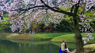 桜だけでない、美しい庭園