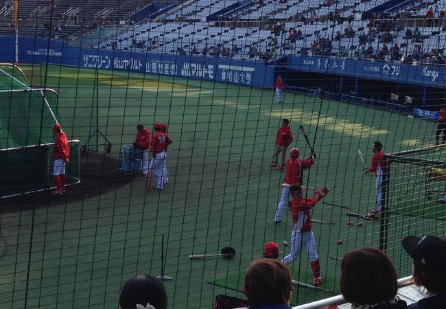 坊っちゃんスタジアム 松山中央公園野球場 クチコミ アクセス 営業時間 松山 フォートラベル