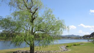 気持ちの良い散歩道 ♪