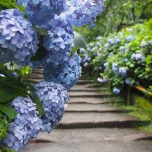 人がいない瞬間を撮りました