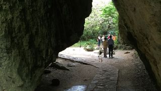 何回か来ると、だんだんわかってくる