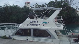 マリンスポーツ＆イルカウォッチング