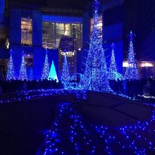 あたり一面ブルーの世界