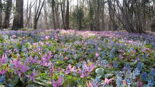 ４月下旬に道の駅を訪れたなら